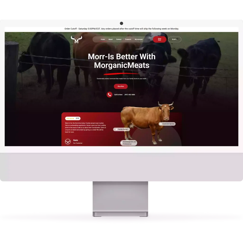website mockup.webp